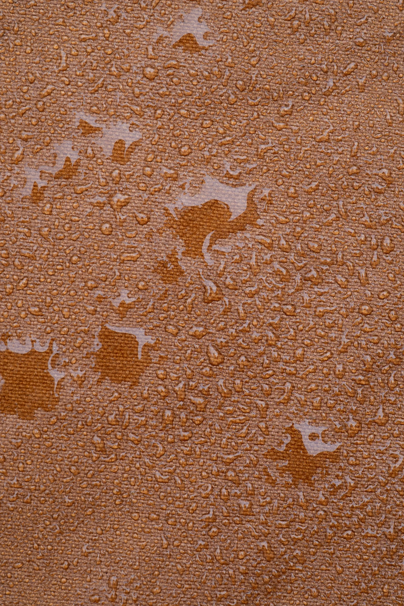 Célestins le sac 24 heures - Coton recyclé ciré Marron Noisette – Image 5