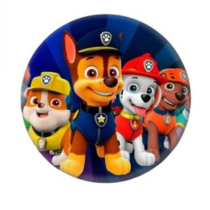 Badge Pat Patrouille : Chase Zuma Ruben et Marcus