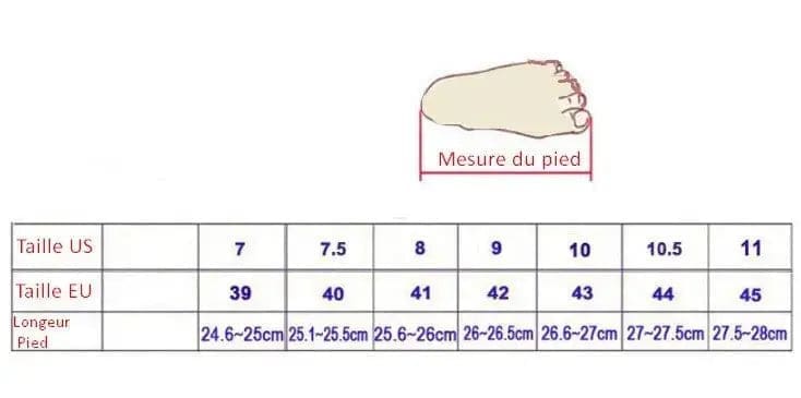 Basket montante moto – Image 8