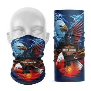 Cache cou moto – Eagle