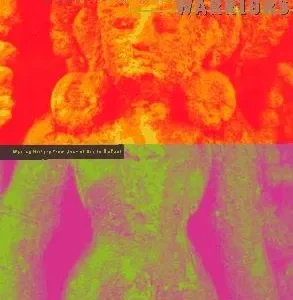 Transgender Warriors : Making History from Joan of Arc to Dennis Rodman