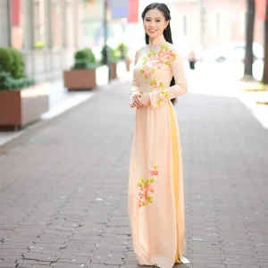 Robe traditionnelle vietnamienne